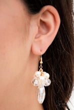 Load image into Gallery viewer, Paparazzi Necklaces Captivate Zi Collection 2019