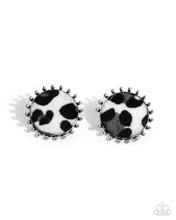 Load image into Gallery viewer, Paparazzi Earrings Cowhide Couture - Black Coming Soon
