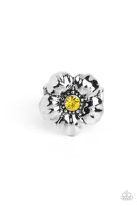 BLOOM BLOOM Pow - Yellow Rings COMING SOON