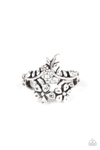 Paparazzi Rings Secret Eden - Silver 