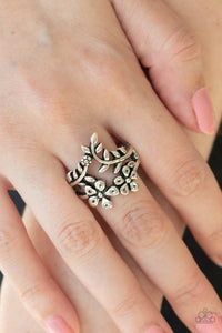 Paparazzi Rings Secret Eden - Silver 